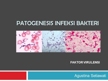 Patogenesis infeksi bakteri