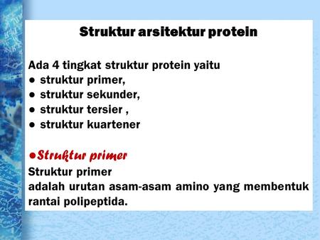 Struktur arsitektur protein