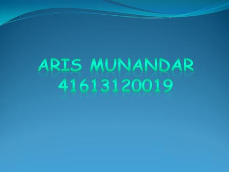 Aris munandar 41613120019.