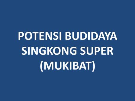 POTENSI BUDIDAYA SINGKONG SUPER (MUKIBAT)