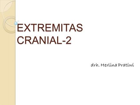 EXTREMITAS CRANIAL-2 drh. Herlina Pratiwi.
