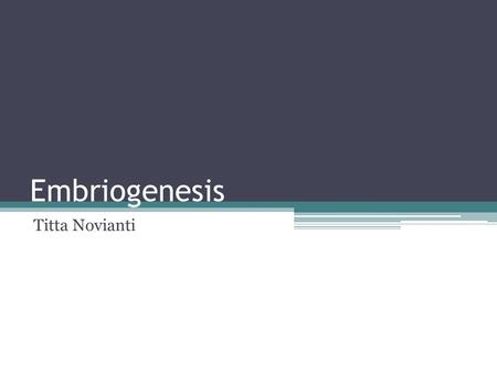 Embriogenesis Titta Novianti.