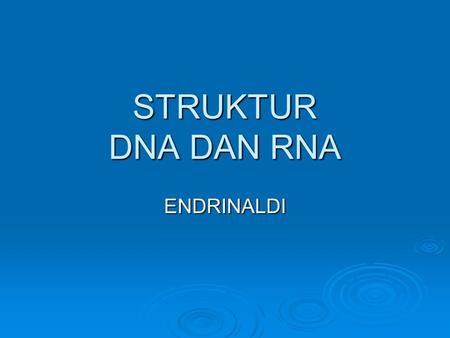 STRUKTUR DNA DAN RNA ENDRINALDI.