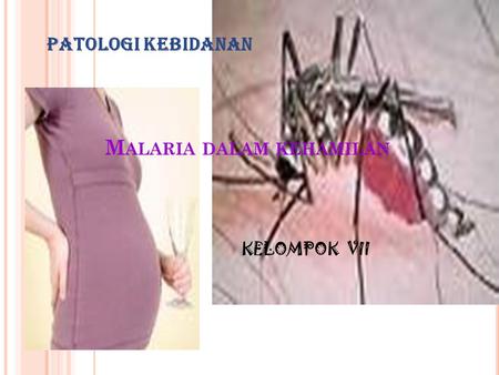 Malaria dalam kehamilan