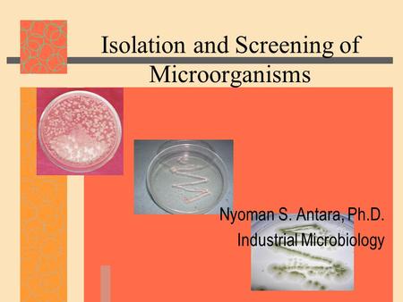 Isolation and Screening of Microorganisms
