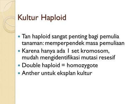 Kultur Haploid Tan haploid sangat penting bagi pemulia tanaman: memperpendek masa pemuliaan Karena hanya ada 1 set kromosom, mudah mengidentifikasi mutasi.