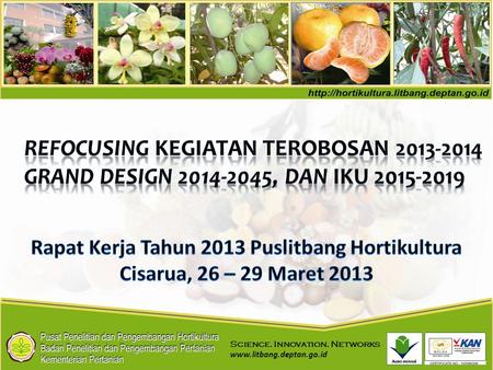 Rapat Kerja Tahun 2013 Puslitbang Hortikultura