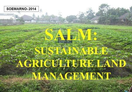 1 SALM: SUSTAINABLE AGRICULTURE LAND MANAGEMENT SOEMARNO- 2014.