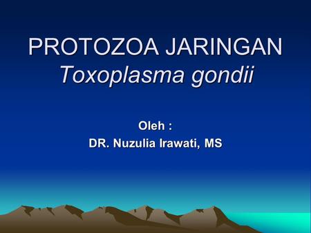 PROTOZOA JARINGAN Toxoplasma gondii