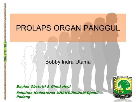 PROLAPS ORGAN PANGGUL Bobby Indra Utama Bagian Obstetri & Ginekologi