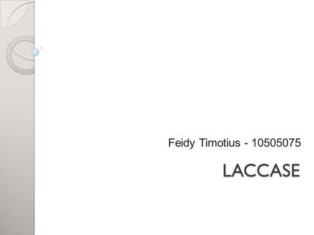 Feidy Timotius - 10505075 LACCASE.