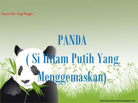 PANDA ( Si Hitam Putih Yang Menggemaskan)