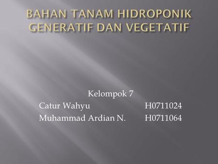 Kelompok 7 Catur Wahyu H0711024 Muhammad Ardian N.H0711064.