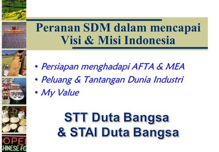 Peranan SDM dalam mencapai Visi & Misi Indonesia