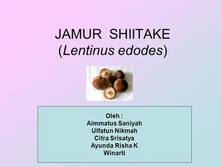 JAMUR SHIITAKE (Lentinus edodes)