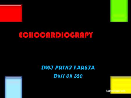 EECHOCARDIOGRAPY DWI PUTRI FAUSIA D411 08 320.