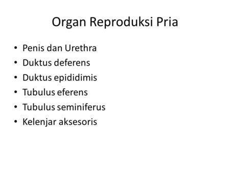 Organ Reproduksi Pria Penis dan Urethra Duktus deferens