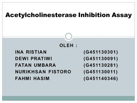 Acetylcholinesterase Inhibition Assay