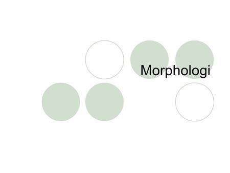Morphologi.