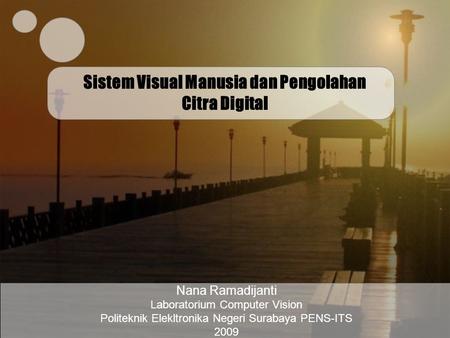 Sistem Visual Manusia dan Pengolahan Citra Digital