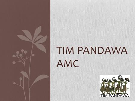 TIM PANDAWA AMC.