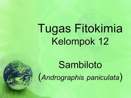 Tugas Fitokimia Kelompok 12 Sambiloto ( Andrographis paniculata )