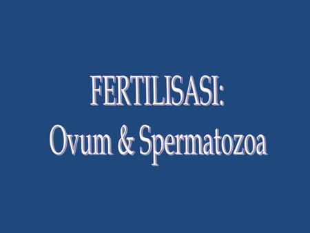 FERTILISASI: Ovum & Spermatozoa.