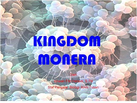 KINGDOM MONERA Oleh Ichwan Fitri Hariadi, S.Pd