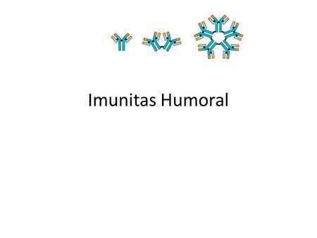 Imunitas Humoral.