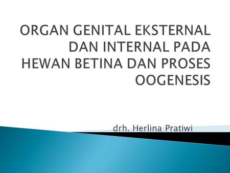 ORGAN GENITAL EKSTERNAL DAN INTERNAL PADA HEWAN BETINA DAN PROSES OOGENESIS drh. Herlina Pratiwi.