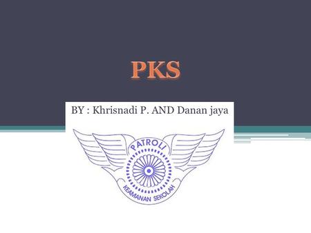 BY : Khrisnadi P. AND Danan jaya. Apa Itu PKS Patroli Keamanan Sekolah atau dapat disingkat PKS adalah salah satu jenis kegiatan ekstrakurikuler yang.