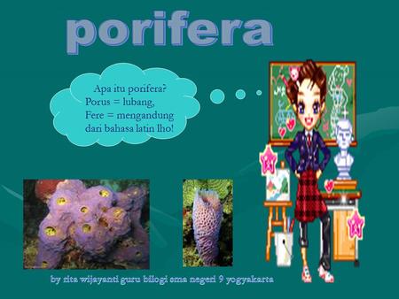 porifera Apa itu porifera? Porus = lubang, Fere = mengandung
