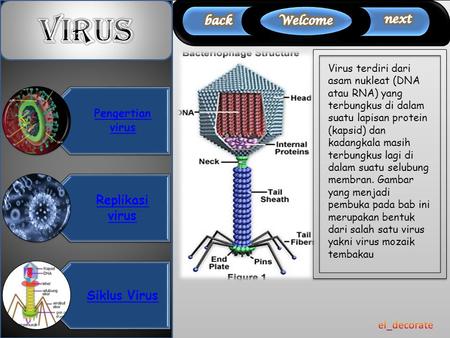 VIRUS Replikasi virus Siklus Virus el_decorate back Welcome next