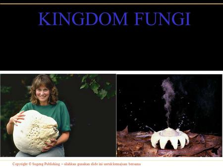 KINGDOM FUNGI Copyright © Sugeng Publishing – silahkan gunakan slide ini untuk kemajuan bersama.