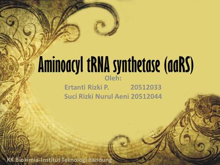 Aminoacyl tRNA synthetase (aaRS)