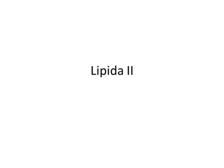 Lipida II.