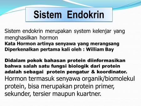   Sistem Endokrin Sistem endokrin merupakan system kelenjar yang menghasilkan hormon Kata Hormon artinya senyawa yang merangsang Diperkenalkan pertama.