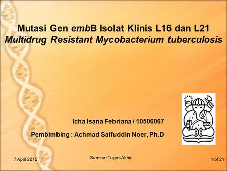 Icha Isana Febriana / Pembimbing : Achmad Saifuddin Noer, Ph.D