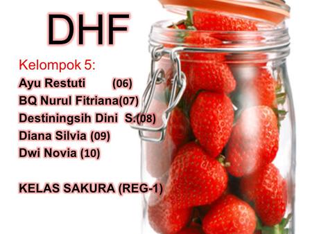 DHF Kelompok 5: Ayu Restuti (06) BQ Nurul Fitriana(07)