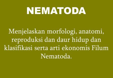 NEMATODA Menjelaskan morfologi, anatomi, reproduksi dan daur hidup dan klasifikasi serta arti ekonomis Filum Nematoda.
