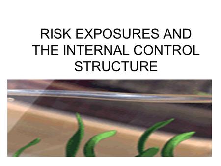 RISK EXPOSURES AND THE INTERNAL CONTROL STRUCTURE