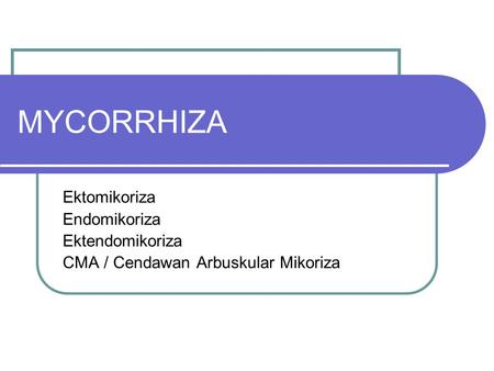 MYCORRHIZA Ektomikoriza Endomikoriza Ektendomikoriza