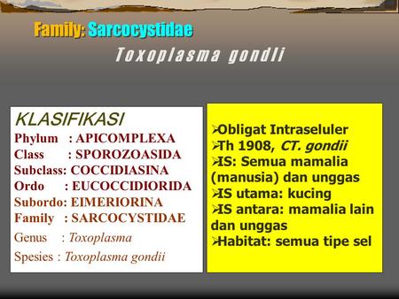 Family: Sarcocystidae