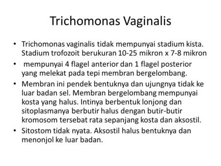 Trichomonas Vaginalis
