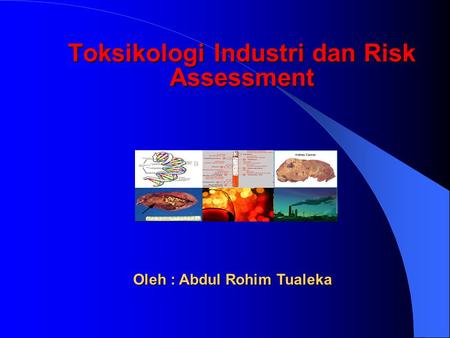 Toksikologi Industri dan Risk Assessment