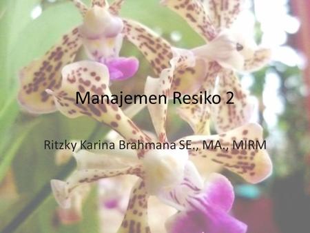 Ritzky Karina Brahmana SE., MA., MIRM