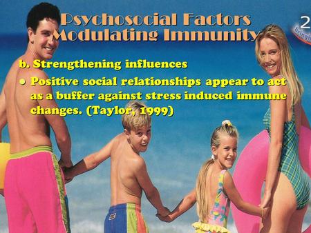Psychosocial Factors Modulating Immunity b. Strengthening influences Positive social relationships appear to act as a buffer against stress induced immune.