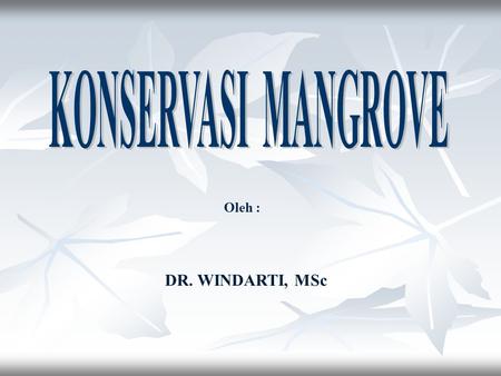 KONSERVASI MANGROVE Oleh : DR. WINDARTI, MSc.