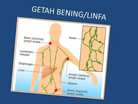 GETAH BENING/LINFA.
