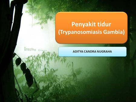 Penyakit tidur (Trypanosomiasis Gambia)